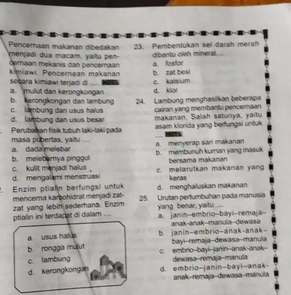 Pencernaan makanan dibedakan menjadi dua macam, yaitu pen- demaan mekanis dan pencemaan kimiawi . Pencernaan makanan sekara kimiawi terjadi di __ NOTS a. mulut