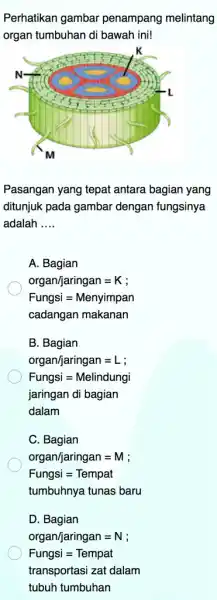 Perhatikan gambar penampang melintang organ tumbuhan di bawah ini! Pasangan yang tepat antara bagian yang ditunjuk pada gambar dengan fungsinya adalah __ A. Bagian