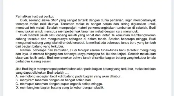 Perhatikan ilustrasi berikut! Budi, seorang siswa SMP yang sangat tertarik dengan dunia pertanian ingin memperbanyak tanaman melati milik ibunya. Tanaman melati ini sangat harum