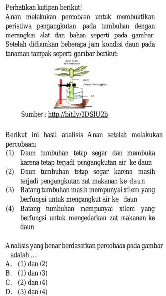 Perhatikan kutipan berikut! Anan melakukan percobaan untuk membuktikan peristiwa pengangkutan pada tumbuhan dengan merangkai alat dan bahan seperti pada gambar. Setelah didiamkan beberapa jam