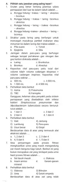 A. Pilihlah satu jawaban yang paling tepat! 1. Urutan yang benar tentang jalannya udara pernapasan dari luar ke dalam tubuh adalah __ a. Rongga