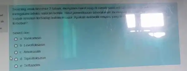 Seorang anak berumur 2 tahun menjalani rawat inap di rumah sakit setelah didia mengalami infeksi saluran kemih Hasil pemeriksaan laborator um menuni sudah resisten