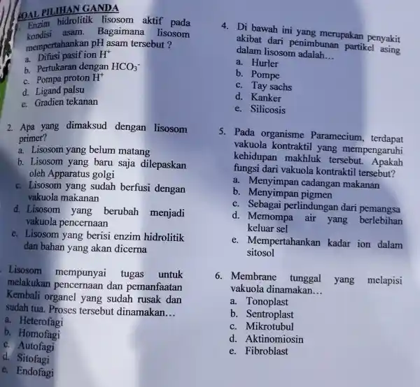 SOAL PILIHAN GANDA Enzim hidrolitik lisosom aktif pada kondisi asam.Bagaimana lisosom mempertahankan pH asam tersebut? a.Difusi pasif ion H^+ b. Pertukaran dengan HCO_(3)^- C.