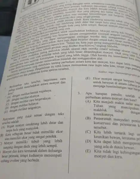 square nomor vert -7vert onyet dan kera adalah dengar saat bergerak membinya, memiliki ckor yang panjang dan lentur menjaga keseimbangan memiliki ekorubuh Kera dengan