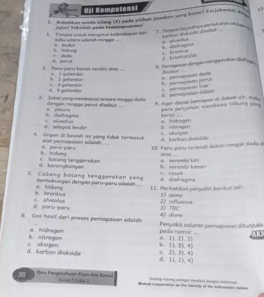 UII Kompetensi Bubuhkan tanda silang (X) pilihan jujur! Yakinlah pada kemampuanmu! 1. Tempat untuk mengatur kelembapan dan suhu udara adalah rongga __ a. mulut