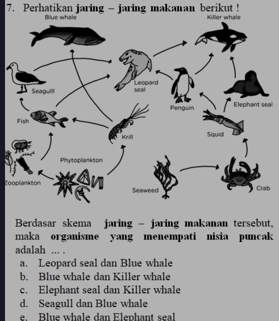 Perhatikan Jaring - Jaring Makanan Berikut ! Berdasar Skema Jaring ...