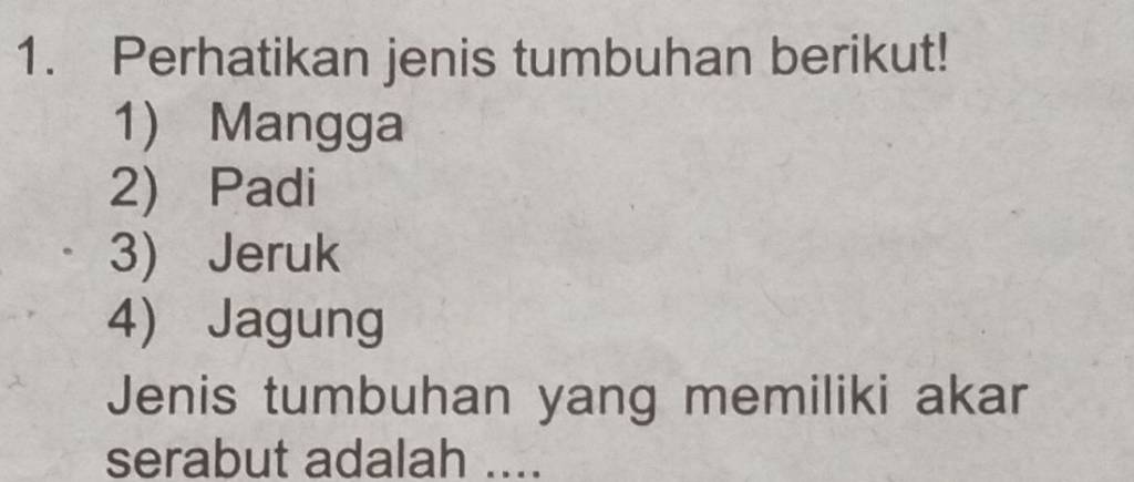 Perhatikan Jenis Tumbuhan Berikut! Mangga Padi Jeruk Jagung Jenis ...