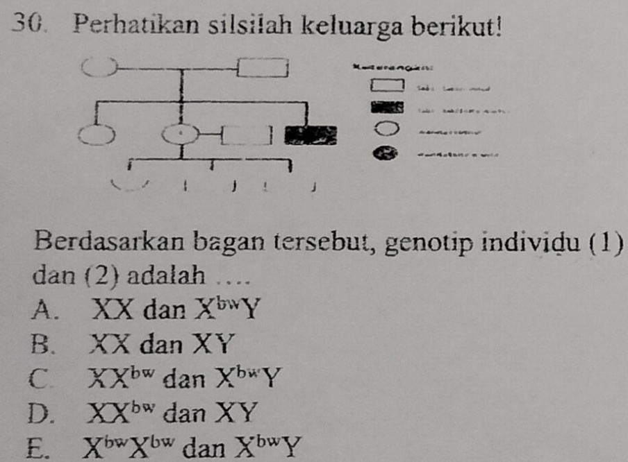 Perhatikan Silsilah Keluarga Berikut! Berdasarkan Bagan Tersebut ...