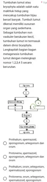 Tumbuhan lumut atau 5pd bryophyta adalah salah satu makhluk hidup yang mencakup tumbuhan hijau bersel banyak. Tumbuh lumut dikenal memiliki susunan organ yang sederhana.