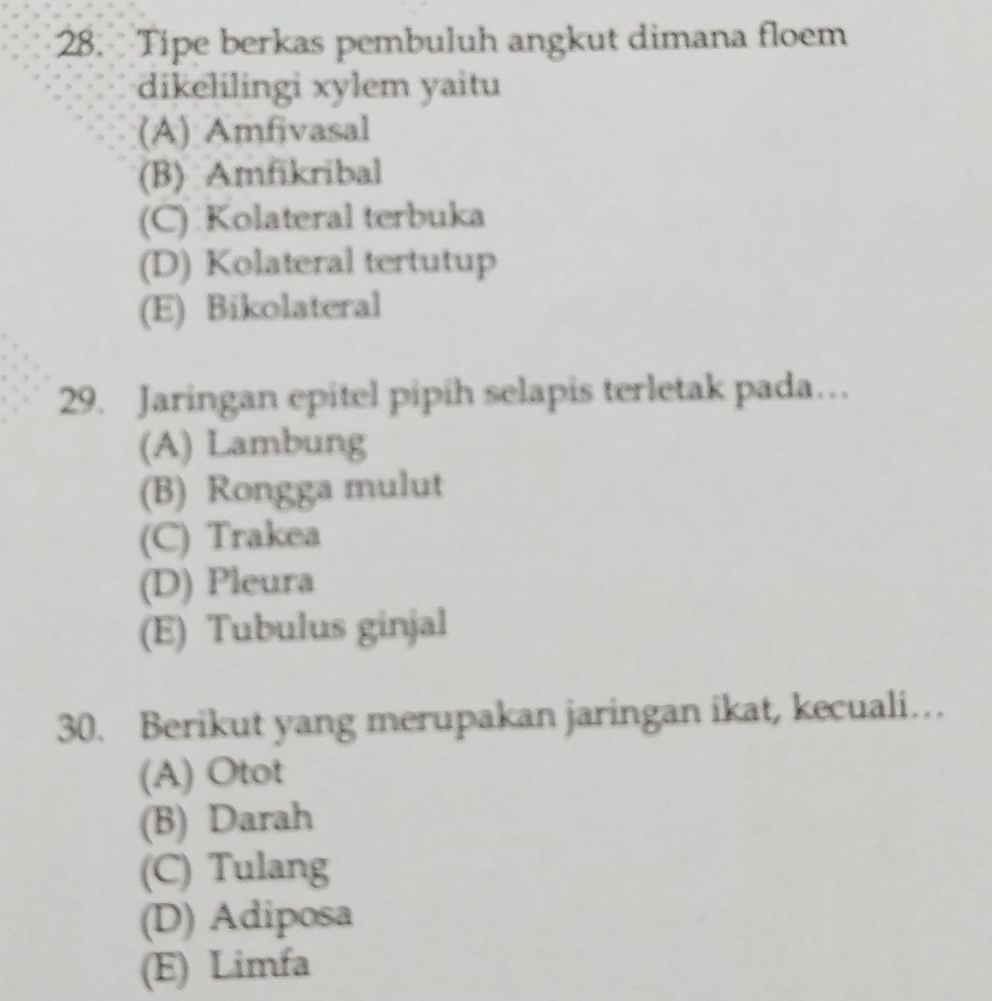 Tipe Berkas Pembuluh Angkut Dimana Floem Dikelilingi Xylemyaitu (a ...