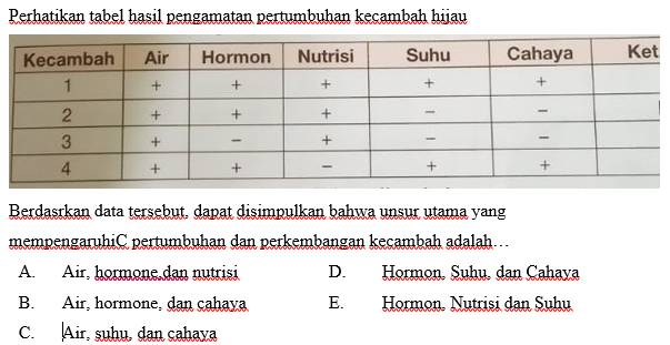 Perhatikan Tabel Hasil Pengamatan Pertumbuhan Kecambah Hijau Kecambah ...