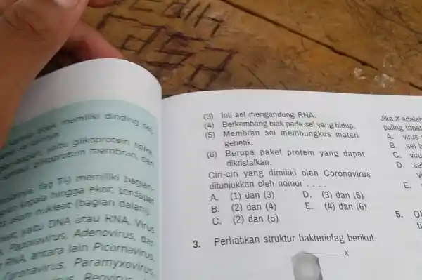 (3) Inti sel mengandung RNA. (4) Berkembang biak pada sel yang hidup. (5) Membran sel membungkus materi genetik. (6) Berupa paket protein yang dapat