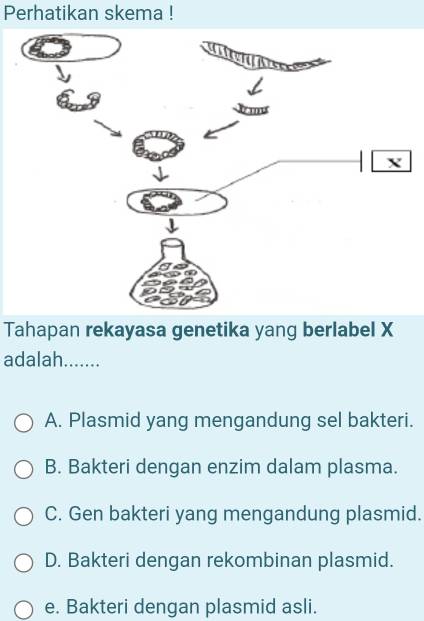 Perhatikan Skema ! Tahapan Rekayasa Genetika Yang Berlabel X Adalah ...